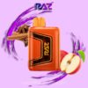 Apple Cinnamon - RAZ Vape TN9000