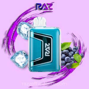 Blue Razz Ice - RAZ TN9000 Disposable Vape