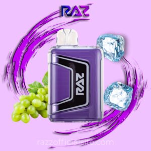 Grape Ice - RAZ TN9000 Disposable Vape