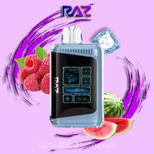 Frozen Raspberry Watermelon - Raz Frozen Edition 25K Puffs